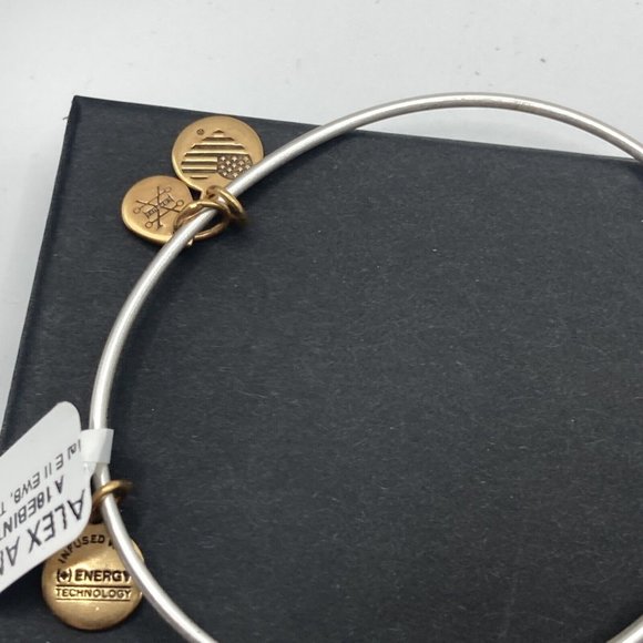 Alex and Ani Initial E Two Tone Russian Silver Bangle New W/ Tag Card & Box - Picture 5 of 7